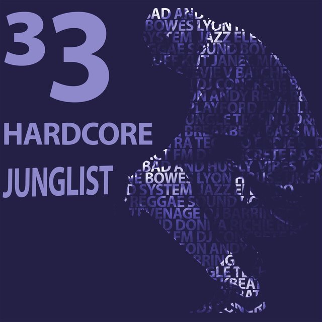 33 Hardcore Junglist