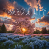 Relaxing Breathwork with 432Hz Flow