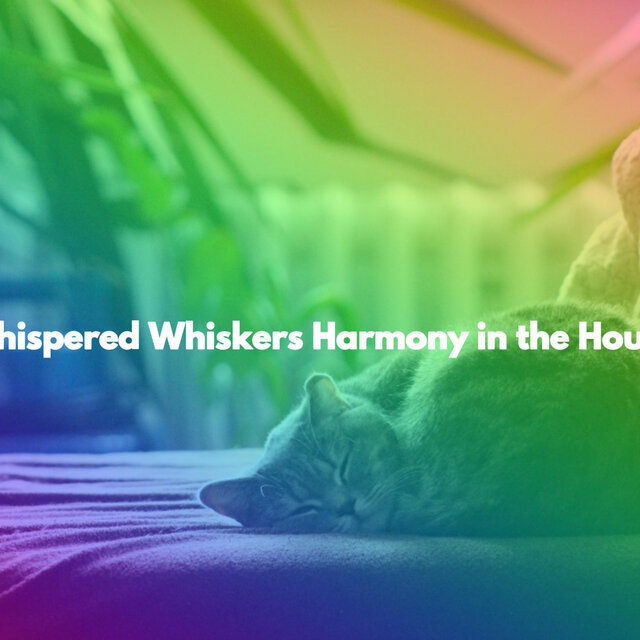 Whispered Whiskers Harmony in the House