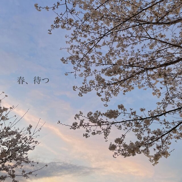Haru, matsu