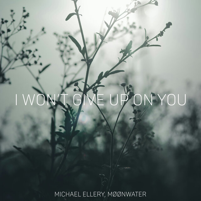 I Won't Give Up On You