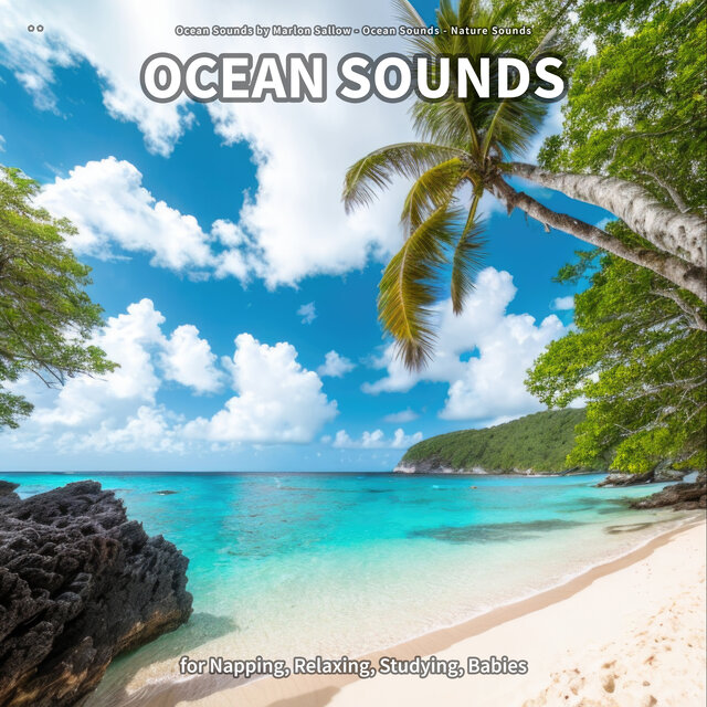 * * Ocean Sounds for Napping, Relaxing, Studying, Babies