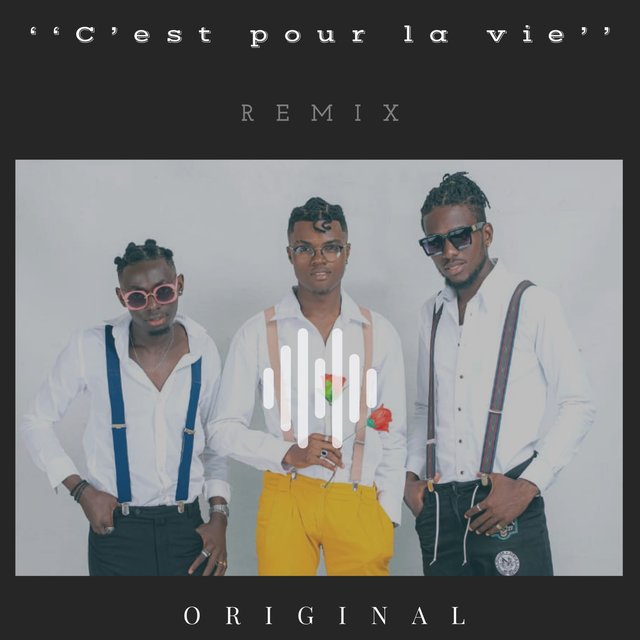 C’est pour la vie (REMIX)