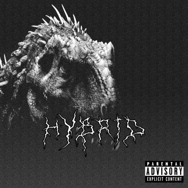 Hybrid