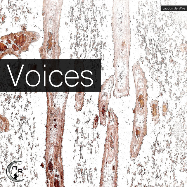 Voices