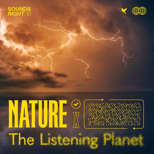Thunderstorm Symphony