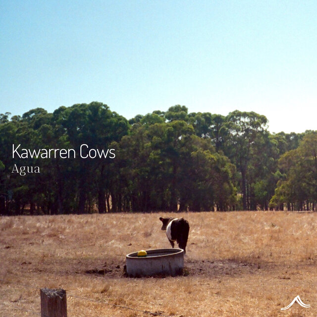 Kawarren Cows