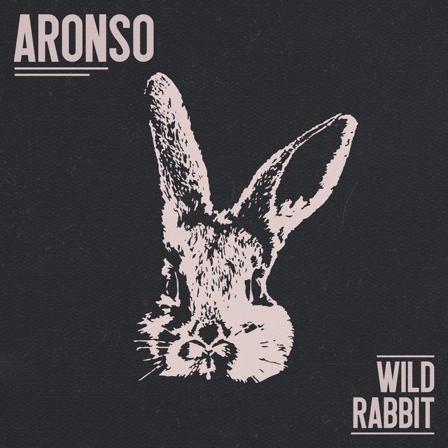 Wild Rabbit