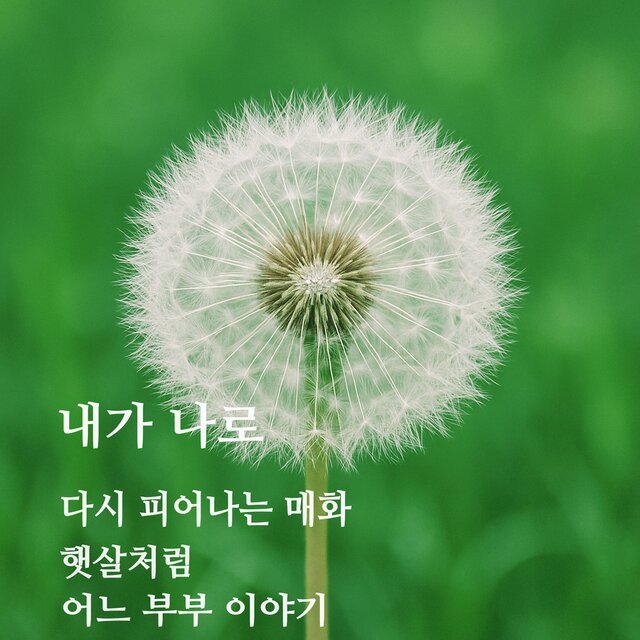 내가 나로