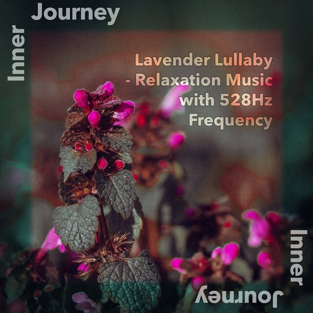 Lavender Lullaby - Relaxation Music with 528Hz Frequency