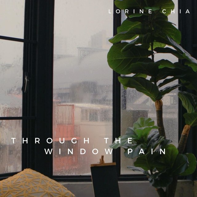 Through The Window Pain