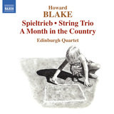 Walking in the Air (version for string quartet), Op. 615