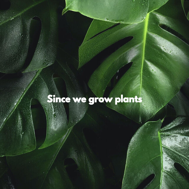 Since we grow plants