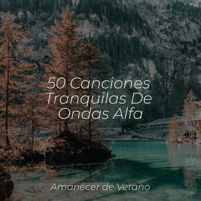 50 Canciones Tranquilas De Ondas Alfa
