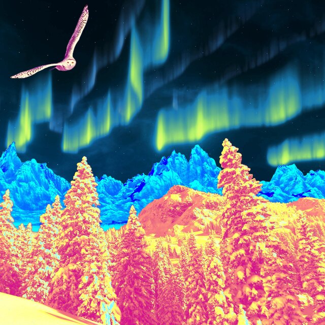Sonic Vibes For Scenic Views, Vol. 11