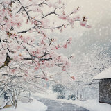 A winter trip in spring
