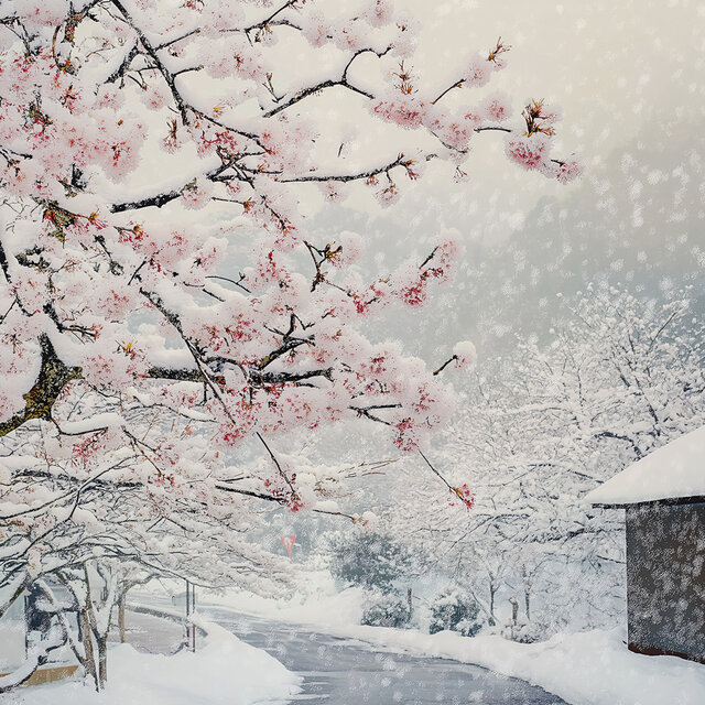 A winter trip in spring