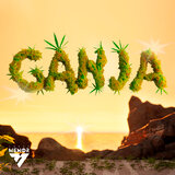 Ganja