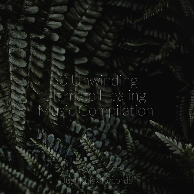 50 Unwinding Ultimate Healing Music Compilation