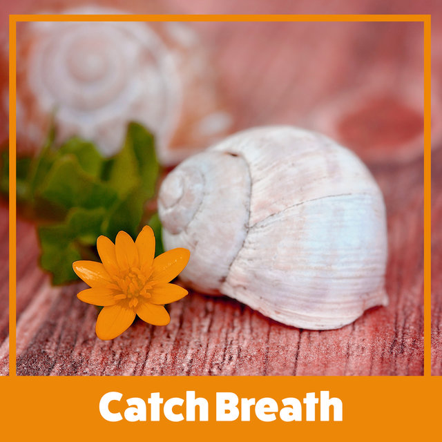 Catch Breath - After a Week at Work, Nice Time, Cool Treatments, Mask and Massage, Essential Oils, Aromatherapy and Quiet Sounds