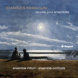 Oboe d'amore Sonatine, Op. 194, No. 1: III. Andante con moto (Assez allant)