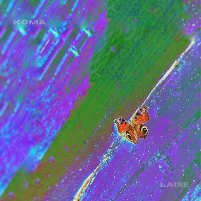 Koma