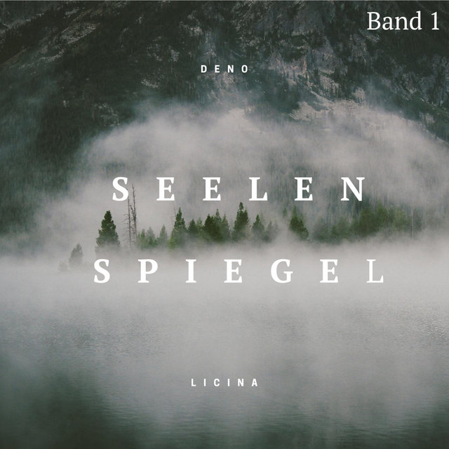Seelenspiegel Band 1