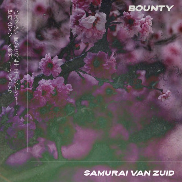 Samurai Van Zuid