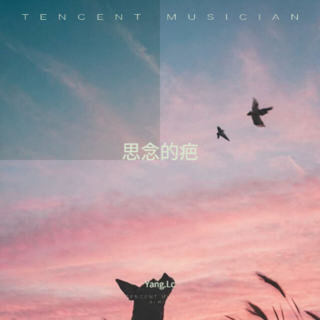 思念的疤