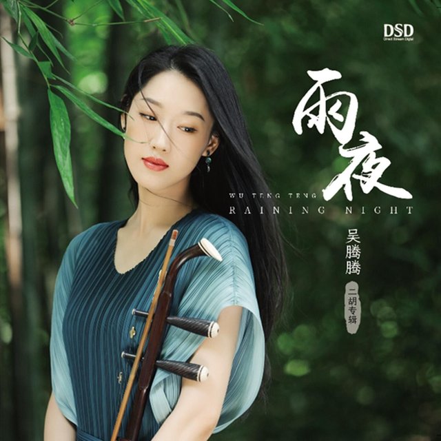 雨夜 (二胡专辑)