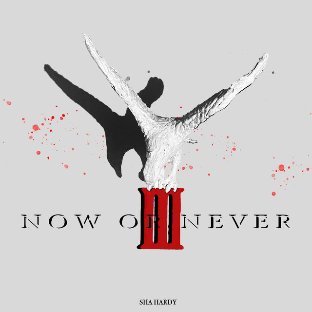 Now or Never 3