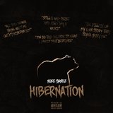 Hibernation