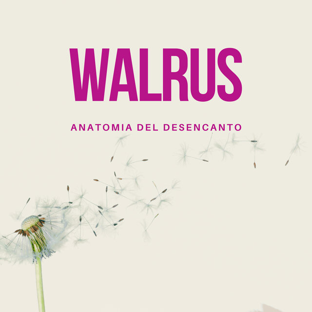 Anatomia del desencanto