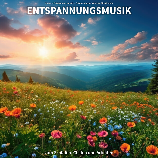 Entspannungsmusik zum Schlafen, Chillen und Arbeiten