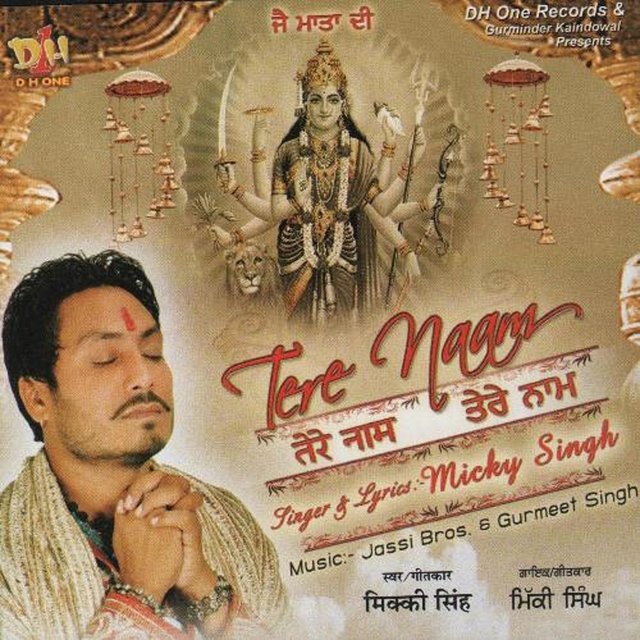 Tere Naam