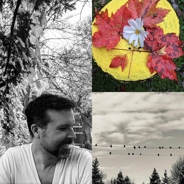 Once Love Was a Bird