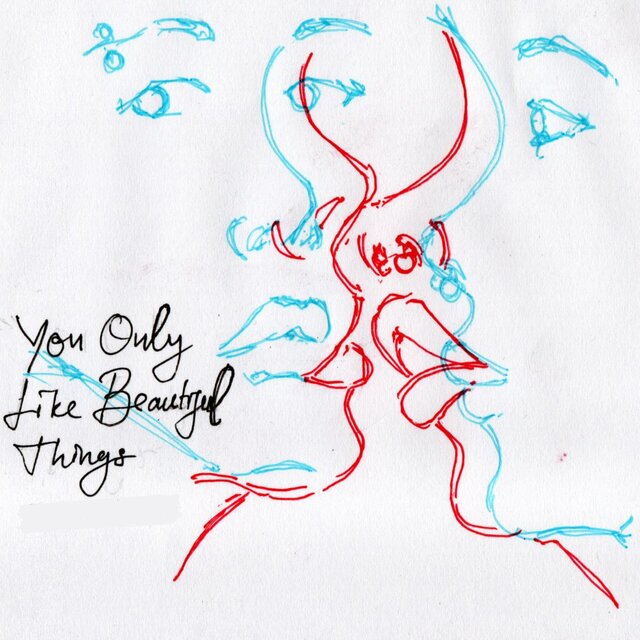 You Only Like Beautiful Things
