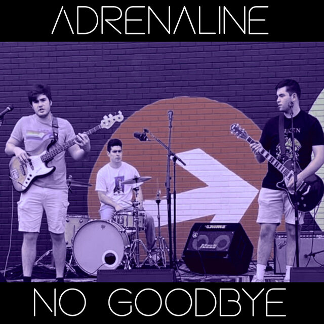 No Goodbye