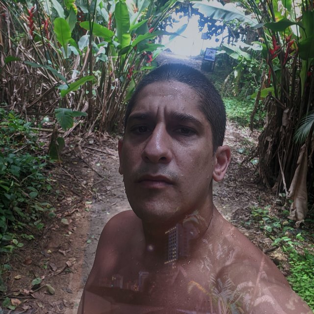 Funks Mais Brabos do Tik Tok
