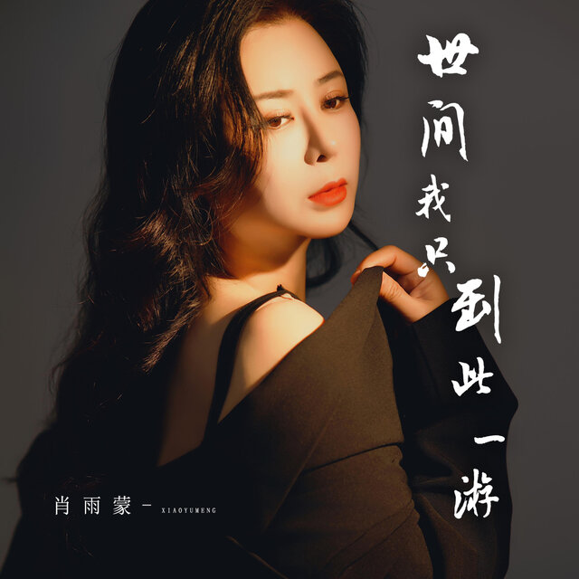 世间我只到此一游