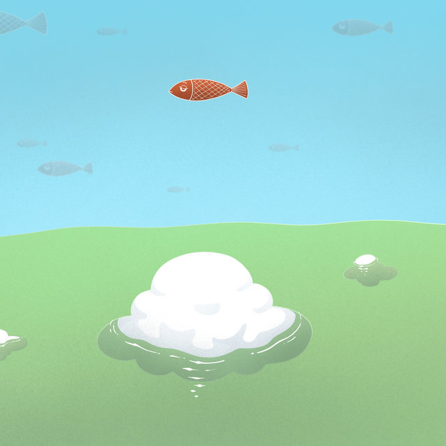 Fish Bird Lofi
