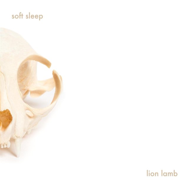 Lion Lamb