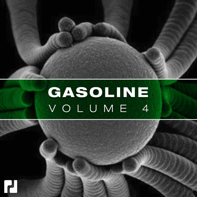 Gasoline, Vol. 4