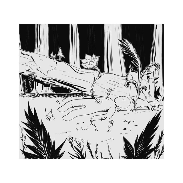Roaring Woods