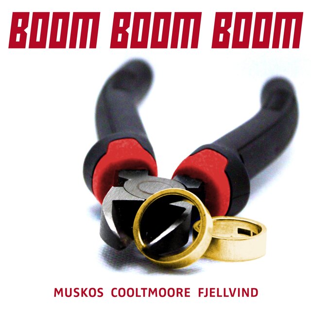 Cover art for album  by Fredrik Muskos, Danny Cooltmoore, Veronica Fjellvind