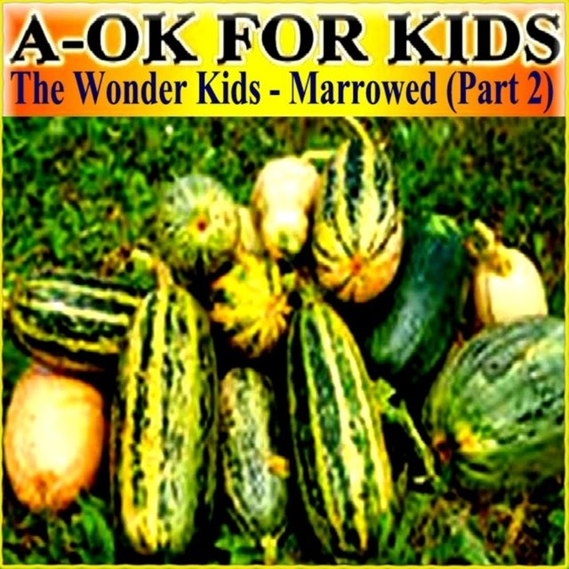 The Wonder Kids - Marrowed (Part 2)