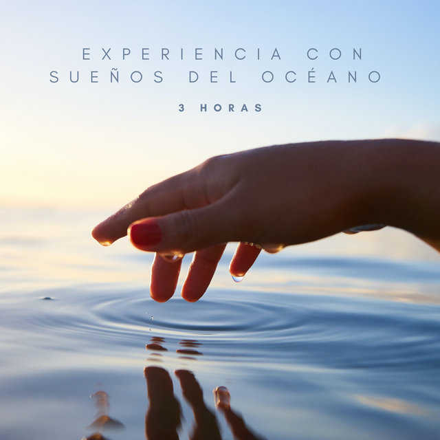 Experiencia Con Sueños Del Océano -3 Horas