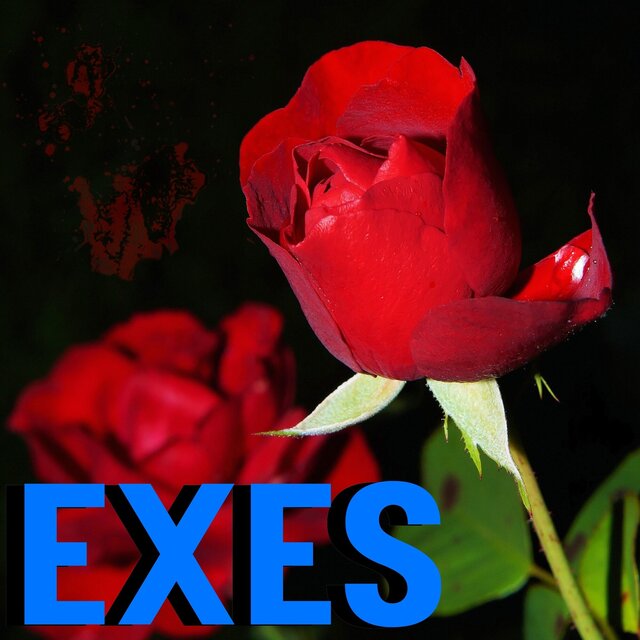 Exes