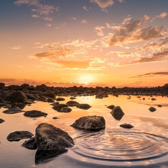 Beautiful Sunset