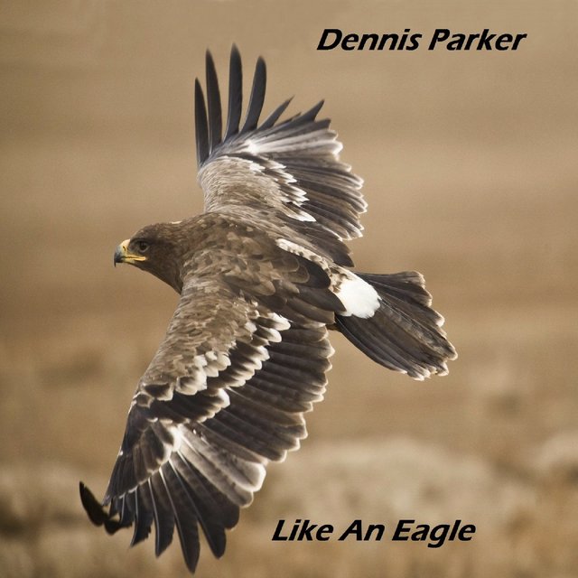 Like an Eagle